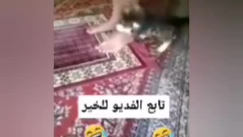 فديو مضحك