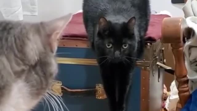 Exercise on the table