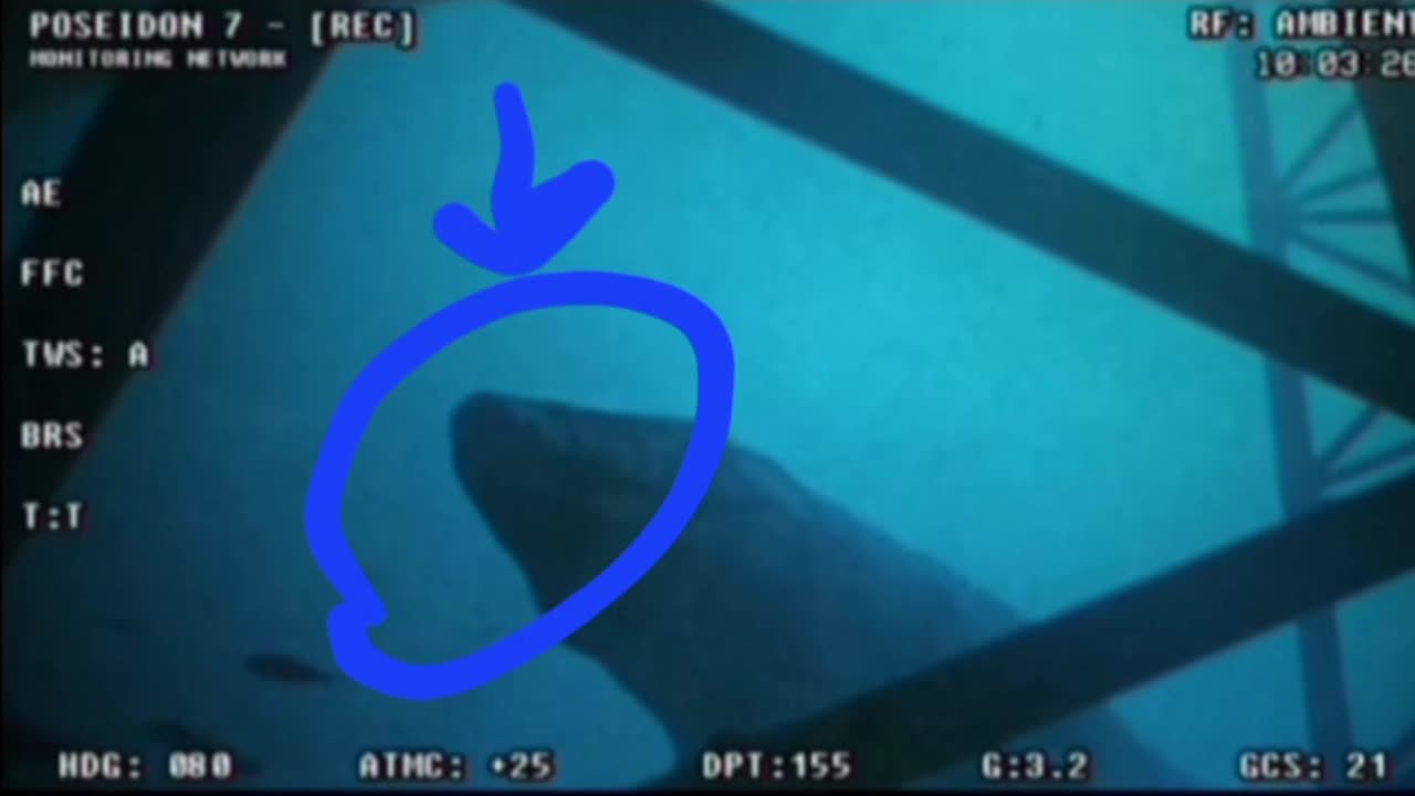 Leaked video of a huge unidentified sea monster