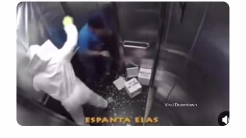 Bee on elevator prank