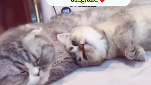 Please hugged me