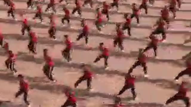 Chinese Kung Fu - Amazing