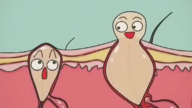 Hair skin health care #shorts #health control