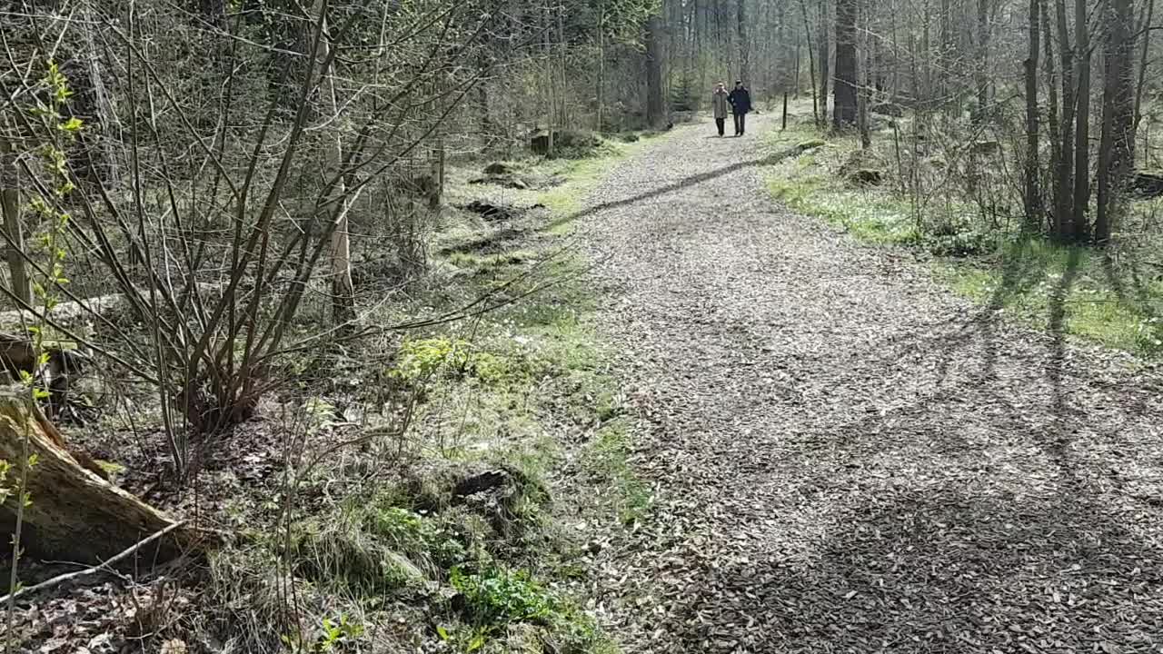 Hund och Rydskogen i väntan på dagens video