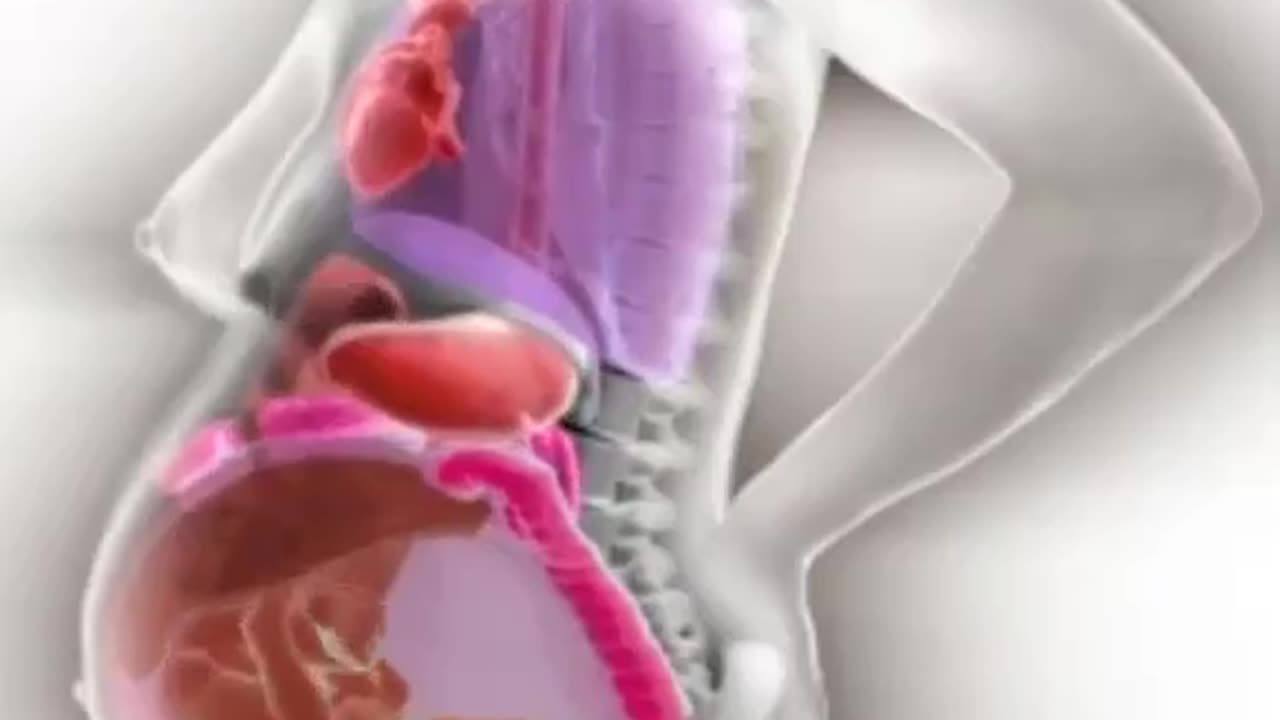 This video illustrates the displacement of internal organs that women experience