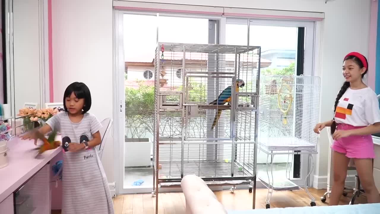 KAYCEE'S PET PARROT, SUNNY THE CONURE | KAYCEE in WONDERLAND FAMILY