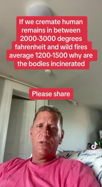 Why are the bodies incinerated?