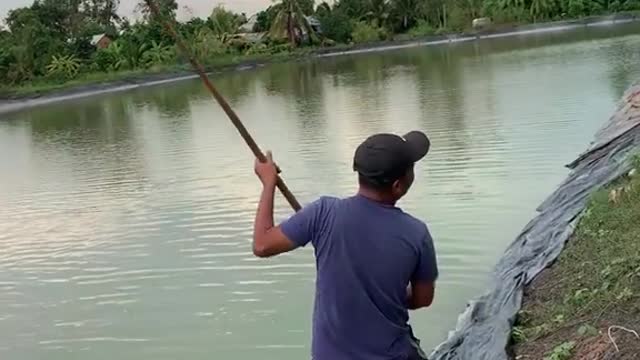 The strange way of catching fish of Vietnamese people.