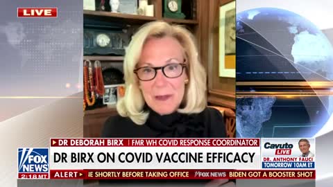 Watch: They admit they knew the vaccines wouldn't protect against infection