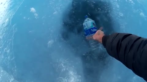 Glacier Ice Water from top of Mt Illimanai, Boivia