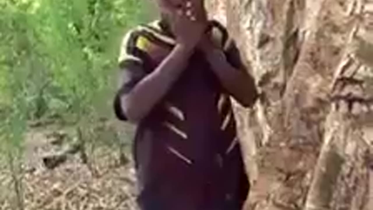 Somali traditional