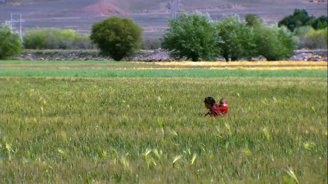 The scenery of Xanadu children play happily