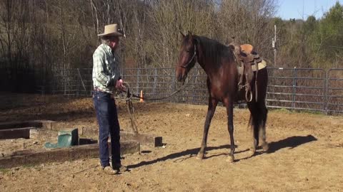 Keeping a horse relaxed on first ride