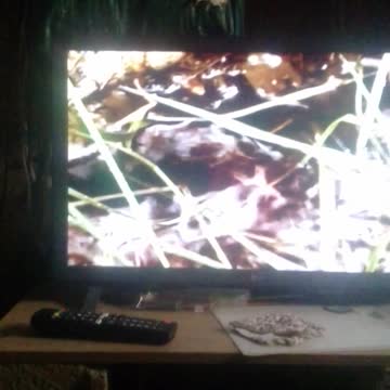 filme o banquete dos zumbis pt1