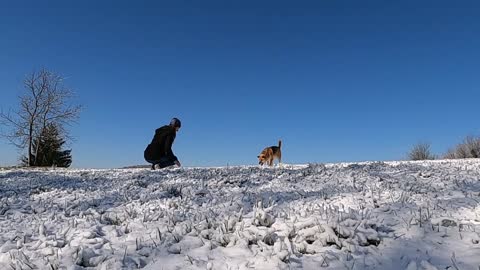 A Woman Playing With Her Dog in the Snow