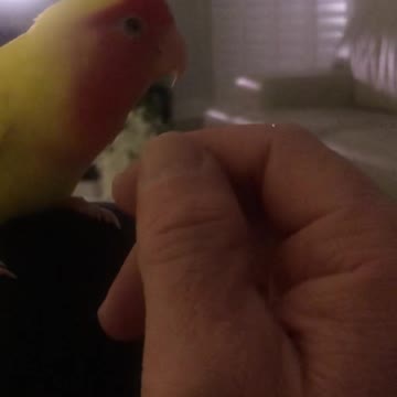 Play time with candy 😊😊