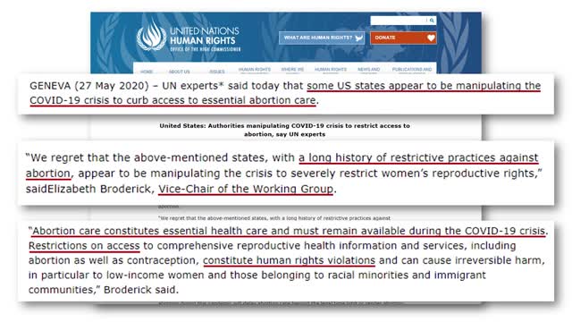 (Part I) Human Rights Gone Awry: The UN Human Rights System Exposed