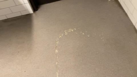 tile floor urination