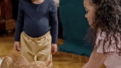 Kids Playing With Their Cat On A Skateboard