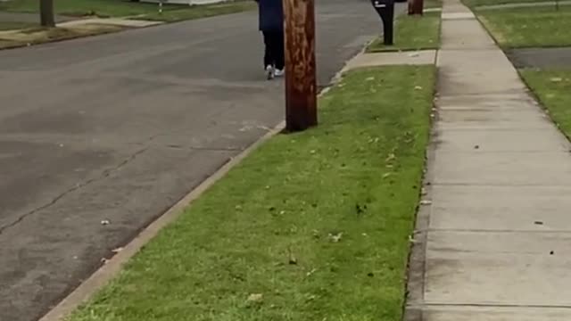 Omg!!! Wait for it. Make it viral
