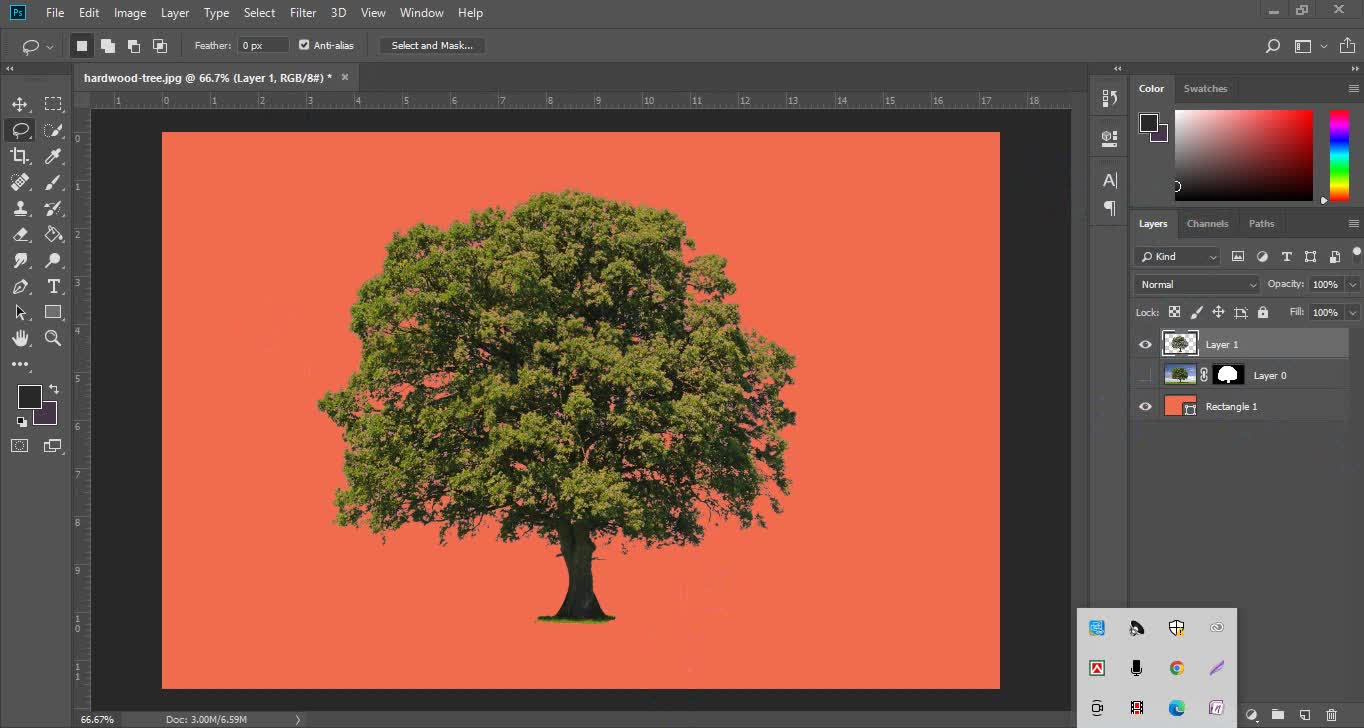 Tree background Remove