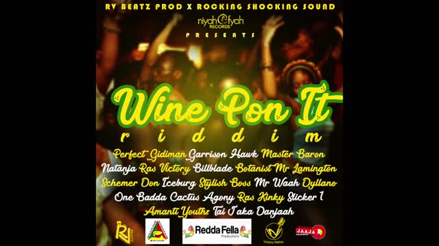 WINE PON IT RIDDIM - Mixtape Classic Sound Zimdancehal Pirates