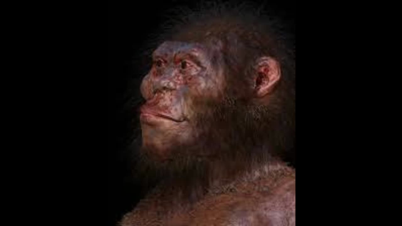 Homo Naledi