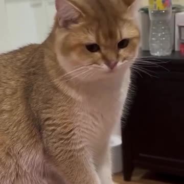 When asked to smile for a photo 😁