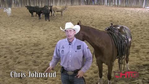 How To Teach A Cutting Horse Horse To Spread His Hind Feet With