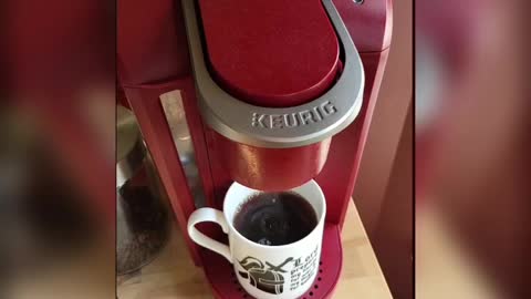 Coffee Machine was ecstatic seeing my Artjuniverse Coffee Mug
