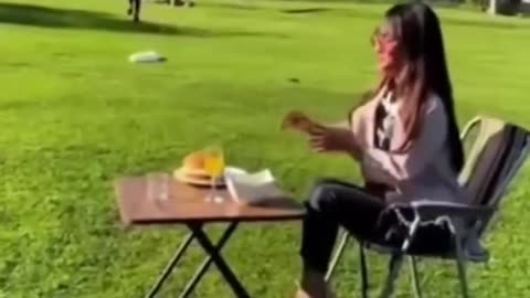 video, best coub