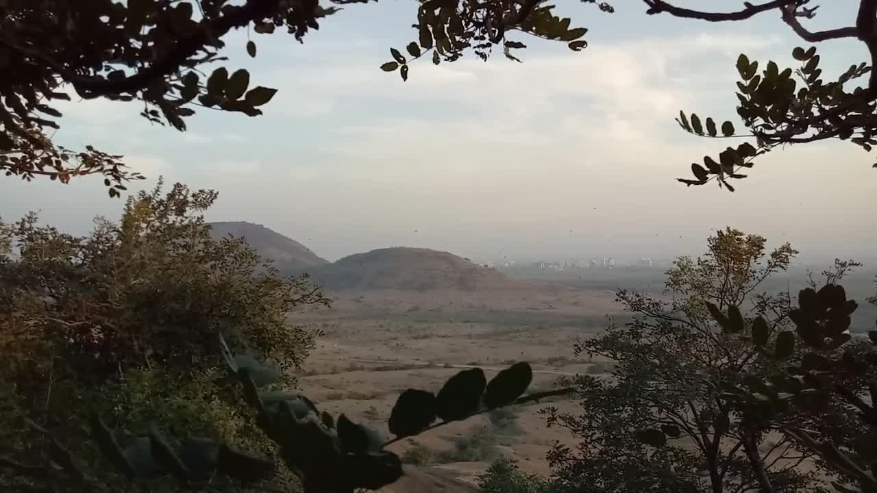 Beauty and Sound of Nature
