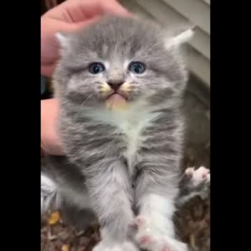 Joe Biden has given us a hundred days