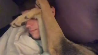 Napping dog shoves paws into kid's face