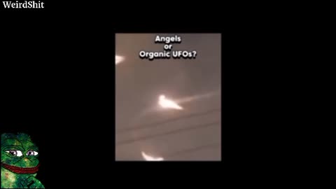 Strange Organic-Looking UFOs exist! Take a look at these!