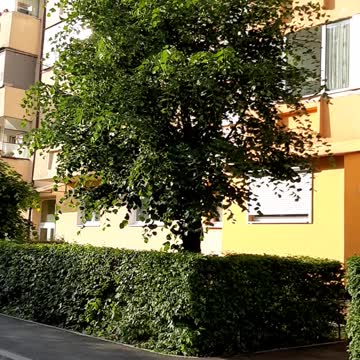 Valea Aurie, Str. Ludos, radiatie radiofrecventa