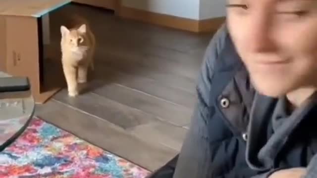 Cat_your_look_just_tuest_video🧐🧐🧐
