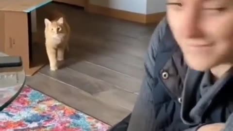 Cat_your_look_just_tuest_video🧐🧐🧐