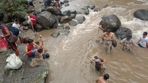 Amazing..!! Lots of people fishing net in river,,Traditional nets fishing in river..