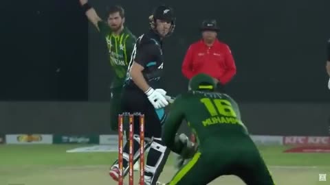 Shaheen shah Afridi #cricket Pak vs newzealand #