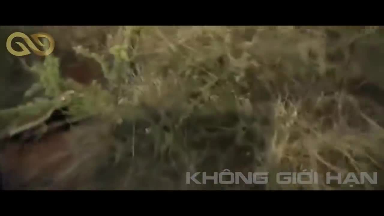 Thiên nhiên kỳ thú