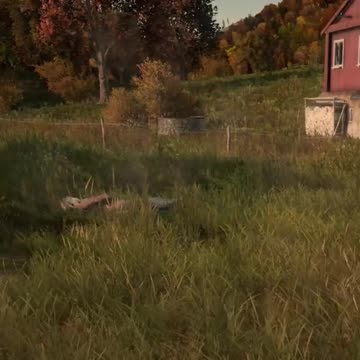 Where To Find Food In DayZ