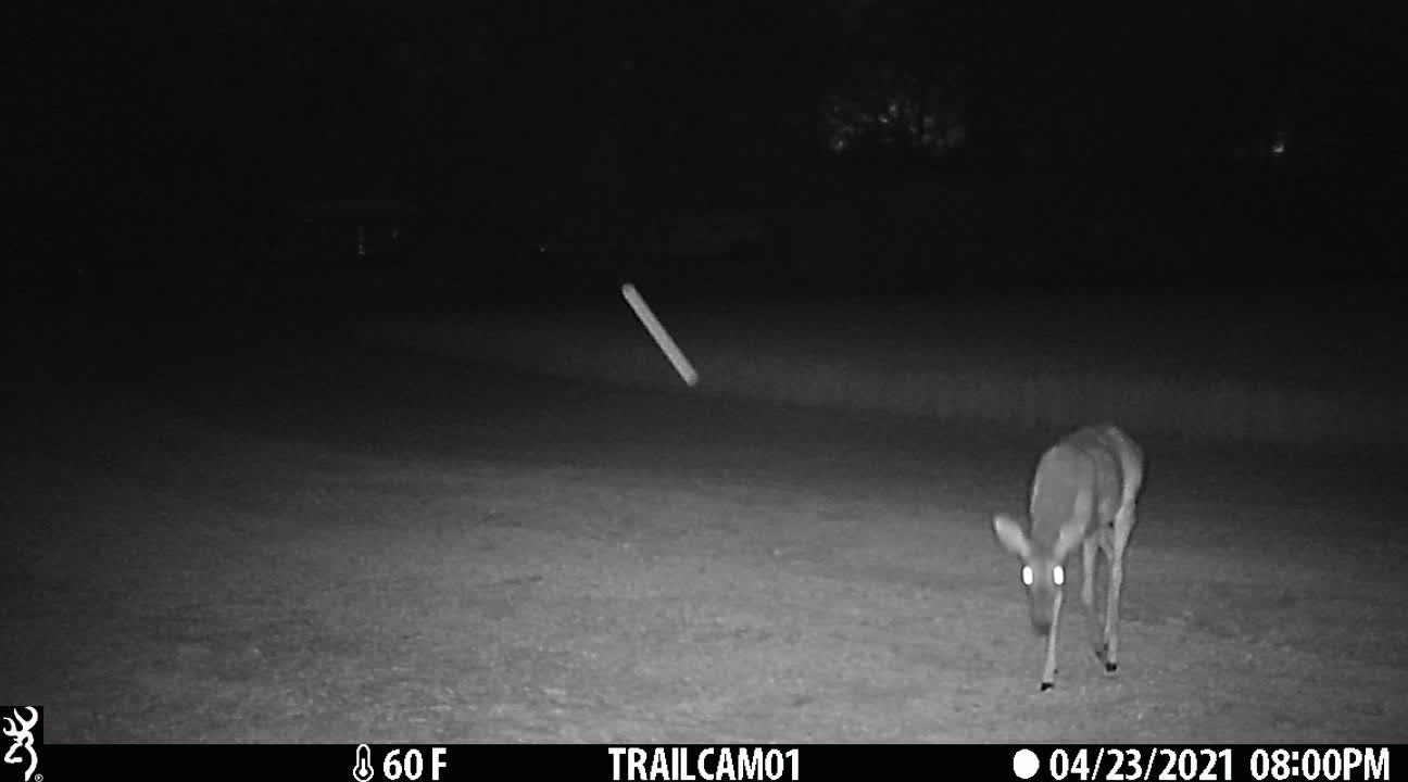 The Doe is aware of something!