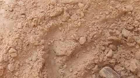 See these golden sand and fresh water