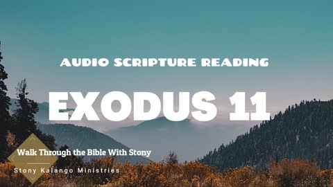Exodus Chapter 11 - Day 61 of Walking Through The Entire Bible With Stony Kalango