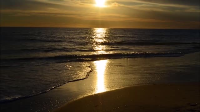 💚Dog Music for Sleeping, Soothing Music, Stress Relief, Go to Sleep, Stop Barking