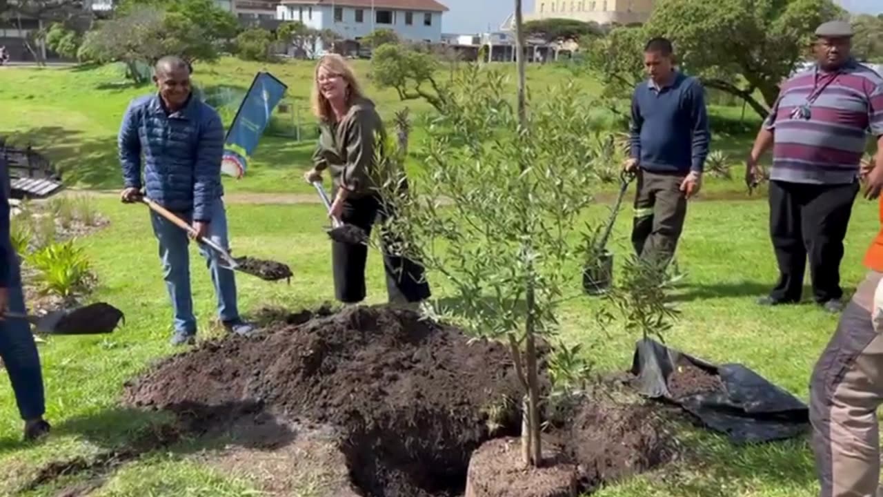 Trees planted in Muizenberg Park