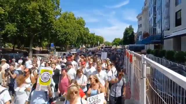 Today: London protesters in support of those killed and injured by the jab.