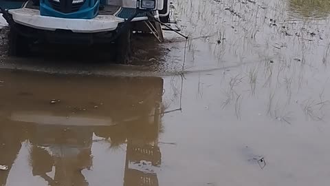 Rice planting