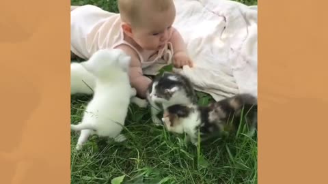 Dogs and babys friends caraing 🤗